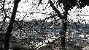 fujimiyagura-minami2.jpg
